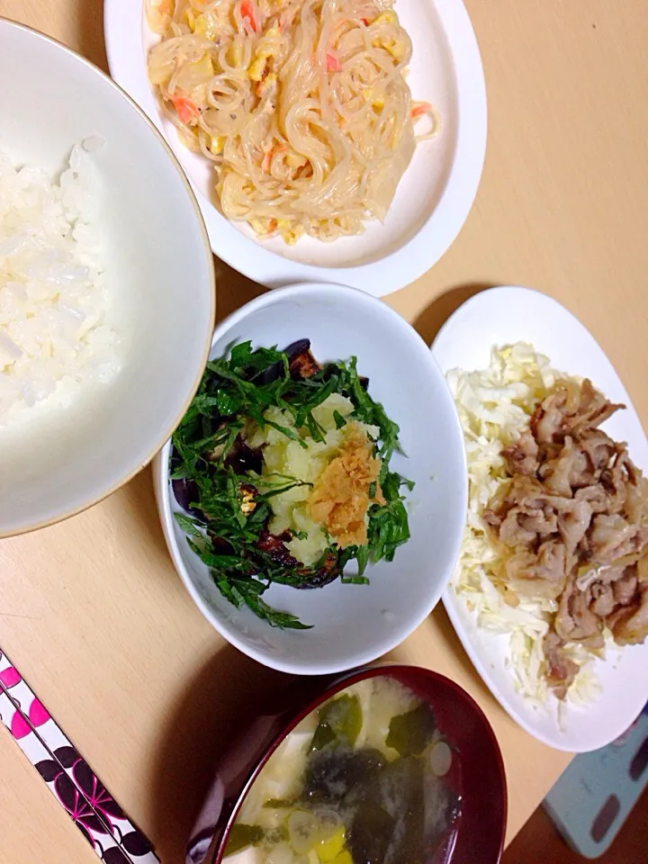 豚肉の塩だれ炒め•焼き茄子のおろしポン酢•白菜の春雨サラダ•わかめ豆腐ねぎのみそ汁|あちさん