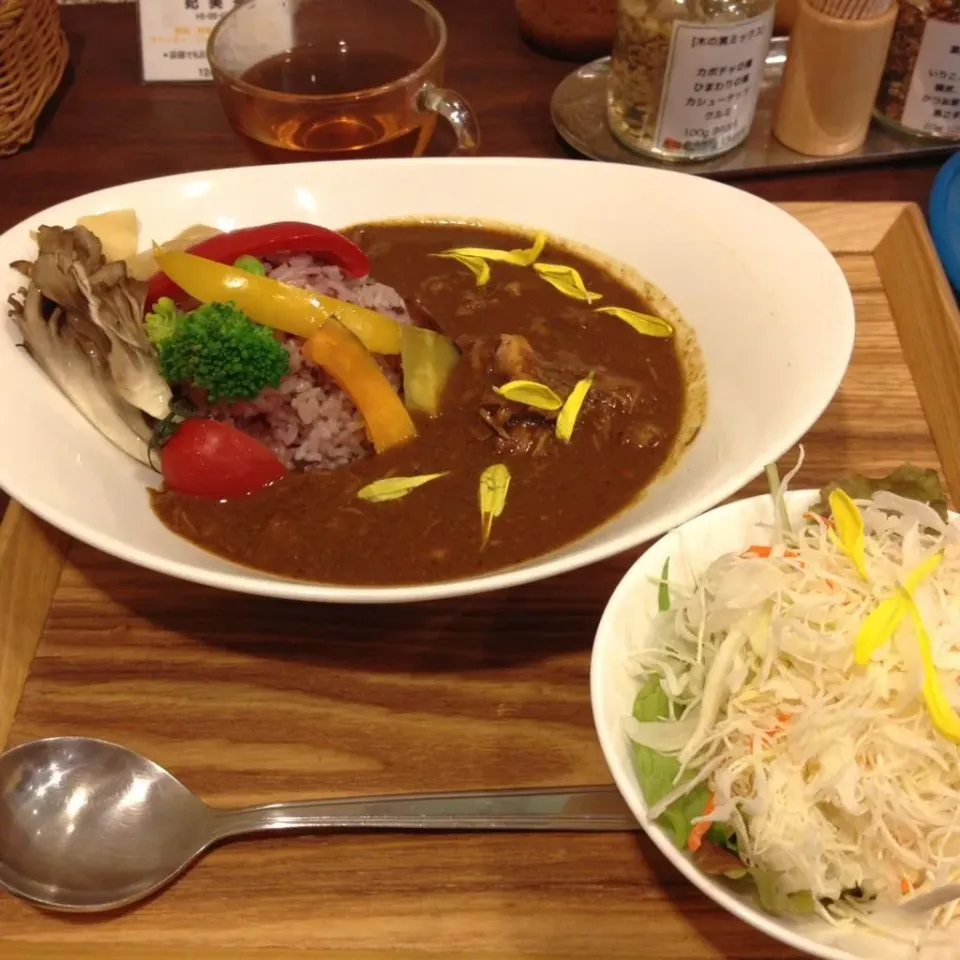 Snapdishの料理写真:薬膳カレー|mayumayuさん