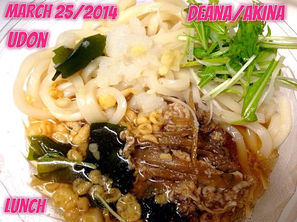 Udon ... March 25/2014 ... Lunch|Deana/Akinaさん