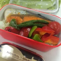 しゃけ弁当|Nozomiさん