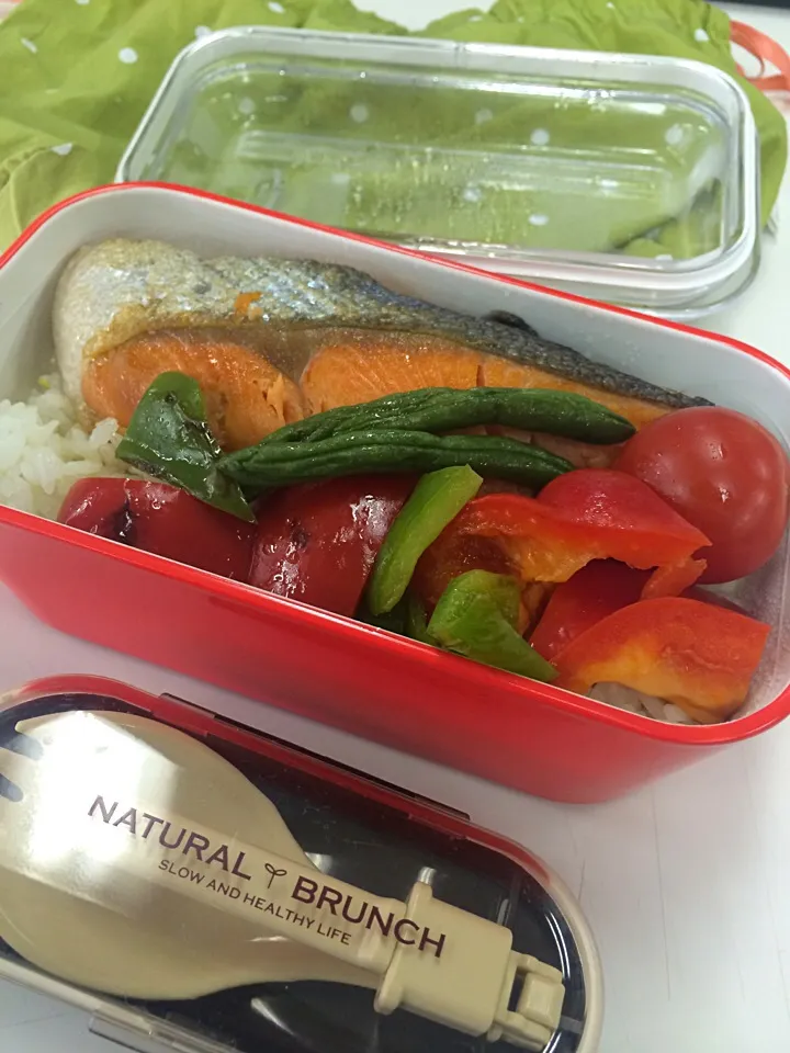 Snapdishの料理写真:しゃけ弁当|Nozomiさん