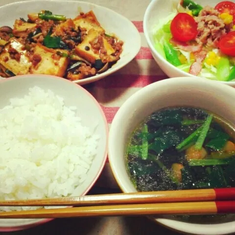 麻婆厚揚げ/ｻﾗﾀﾞ/海老と小松菜の中華ｽｰﾌﾟ/ごはん|おすこさん