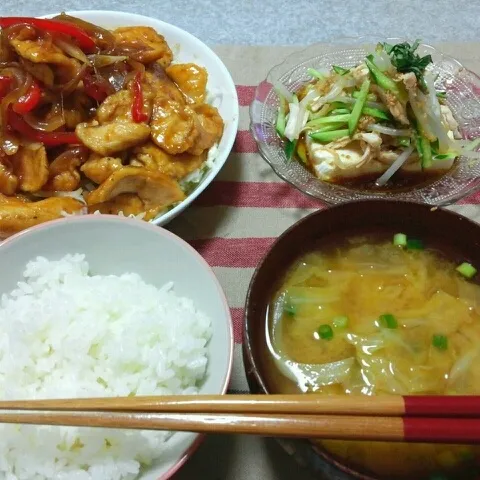 鶏むね肉とパプリカのしょうが焼き/豆腐ｻﾗﾀﾞ/キャベツとねぎの味噌汁/ごはん|おすこさん