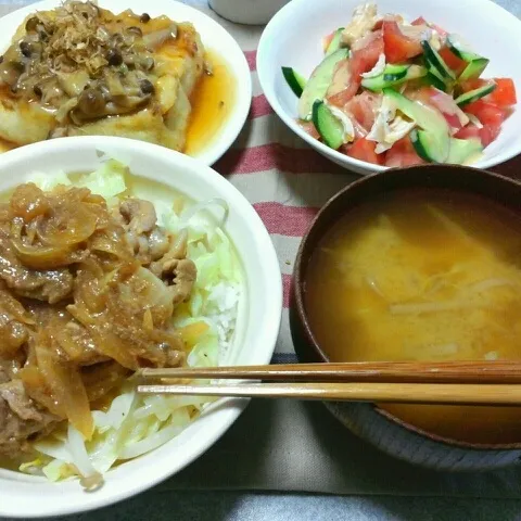 Snapdishの料理写真:豚丼/揚げたし豆腐/ささみと胡瓜とトマトのサラダ/もやしの味噌汁/|おすこさん