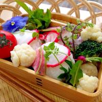 蛸の手毬寿司。ブロッコリーのカリフラワーの和風出汁煮のお弁当
