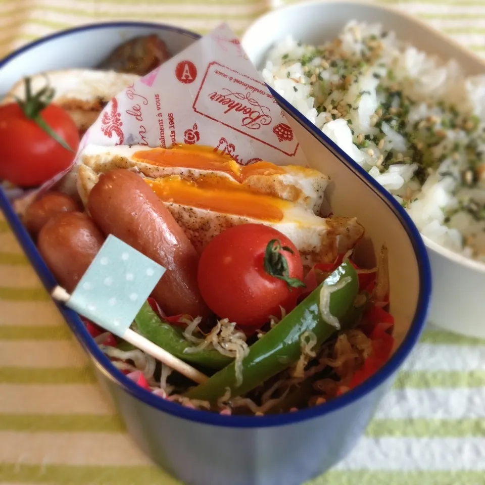 今日のお弁当🎶|タクローさん