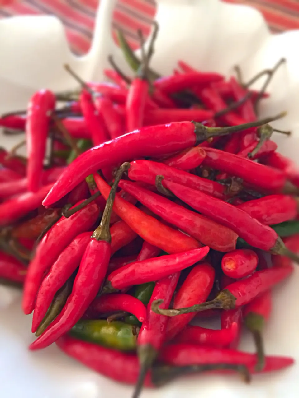 Philippine Cayenne Pepper|Art Yuudhaさん