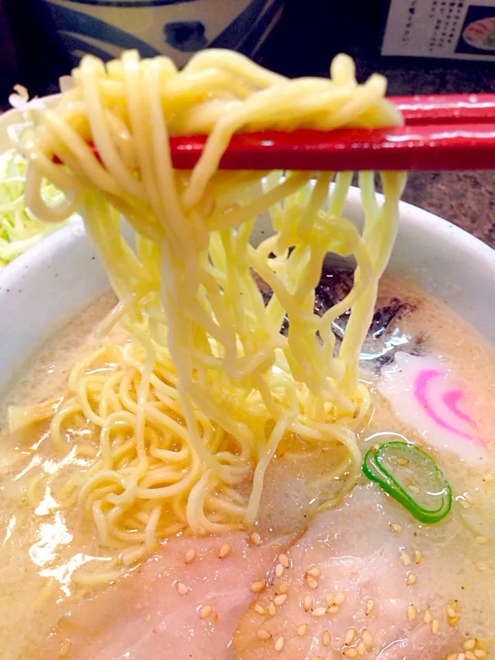 塩ラーメンの麺|中華蕎麦 銀時さん