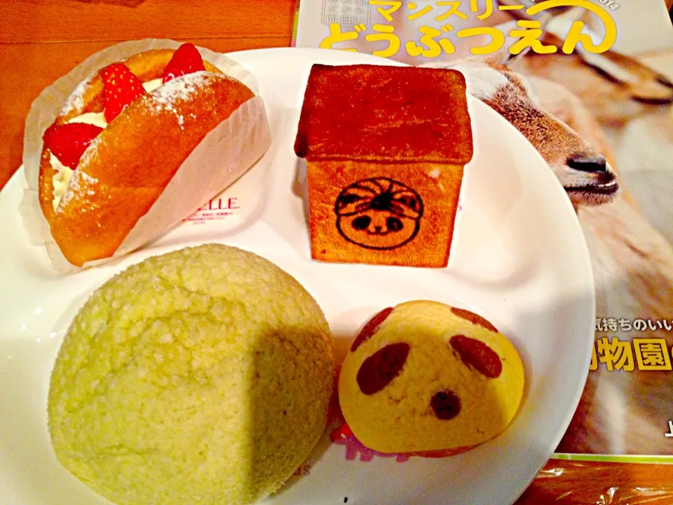 Snapdishの料理写真:🍞パンダメロンパン、🐼パンダカレーパン、🍓苺のブリオッシュ、🍈完熟メロンパン|ch＊K*∀o(^^*)♪さん