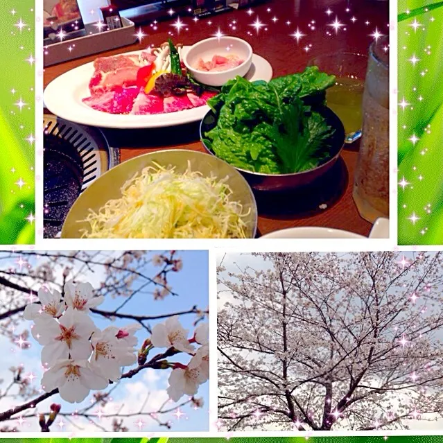 Snapdishの料理写真:1人焼肉と桜🌸2014.03.25|ラパンママさん