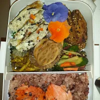 Snapdishの料理写真:お弁当。豆腐ハンバーグ、はすのきんぴら、酢の物、ひじき入り卵焼き、鮭の西京漬け|Malon Middleさん