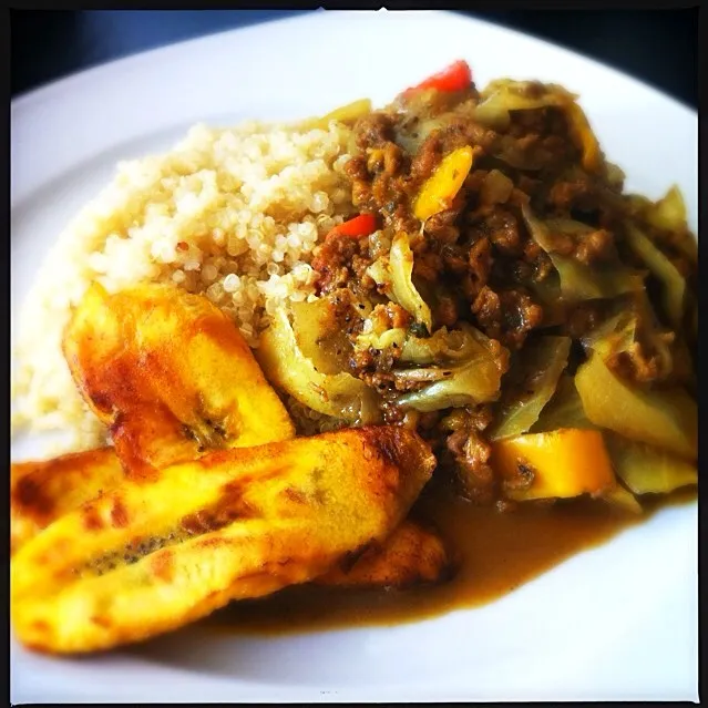 Curried Soy Ground Round and Cabbage over Quinoa and Plantain|T.E.Dennisさん