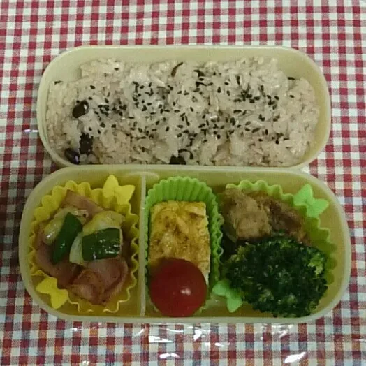 ☆旦那と娘のお弁当
赤飯、野菜炒め、卵焼き、味噌かつ、サラダ、味噌汁|たまりんごさん