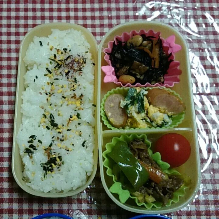 ☆旦那と娘のお弁当
ひじき、ニラとソーセージの卵炒め、焼き肉|たまりんごさん