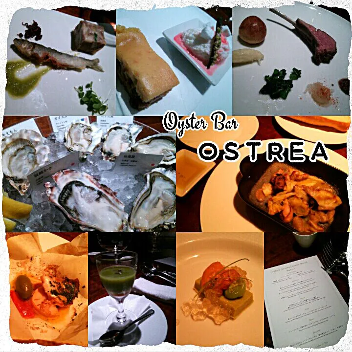 -Oyster bar OSTREA-

毎日牡蠣を食べれたら幸せだろうなぁ～♡(´∀`,,人)♥*.|Kashimanakitchenさん