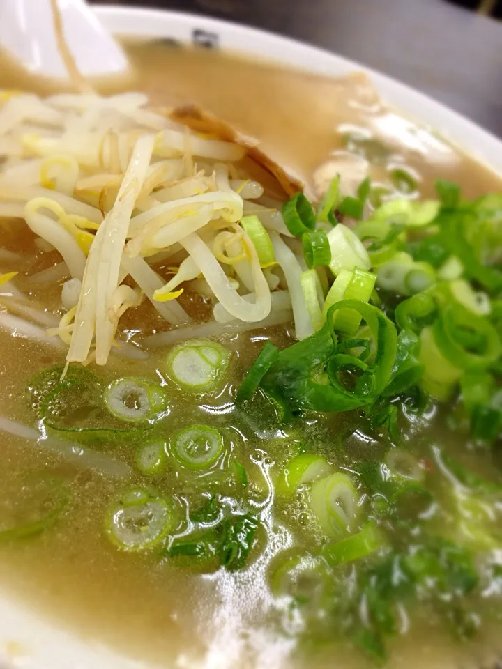 Snapdishの料理写真:とんこつラーメン|Mutyoさん