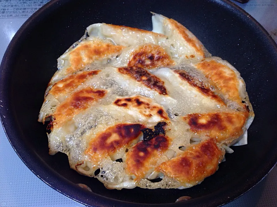 Chicken & cabbage Gyoza|yeni kartikasariさん