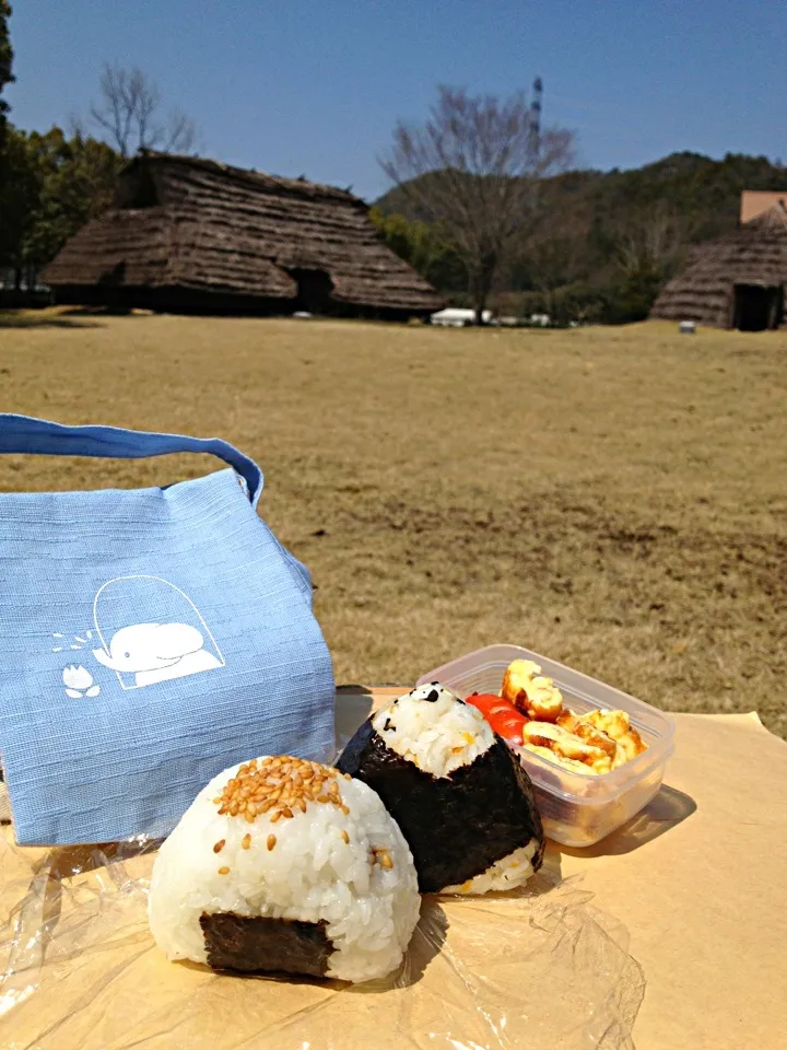 Snapdishの料理写真:今日のお弁当 3月28日 ☀☀|あくびさん