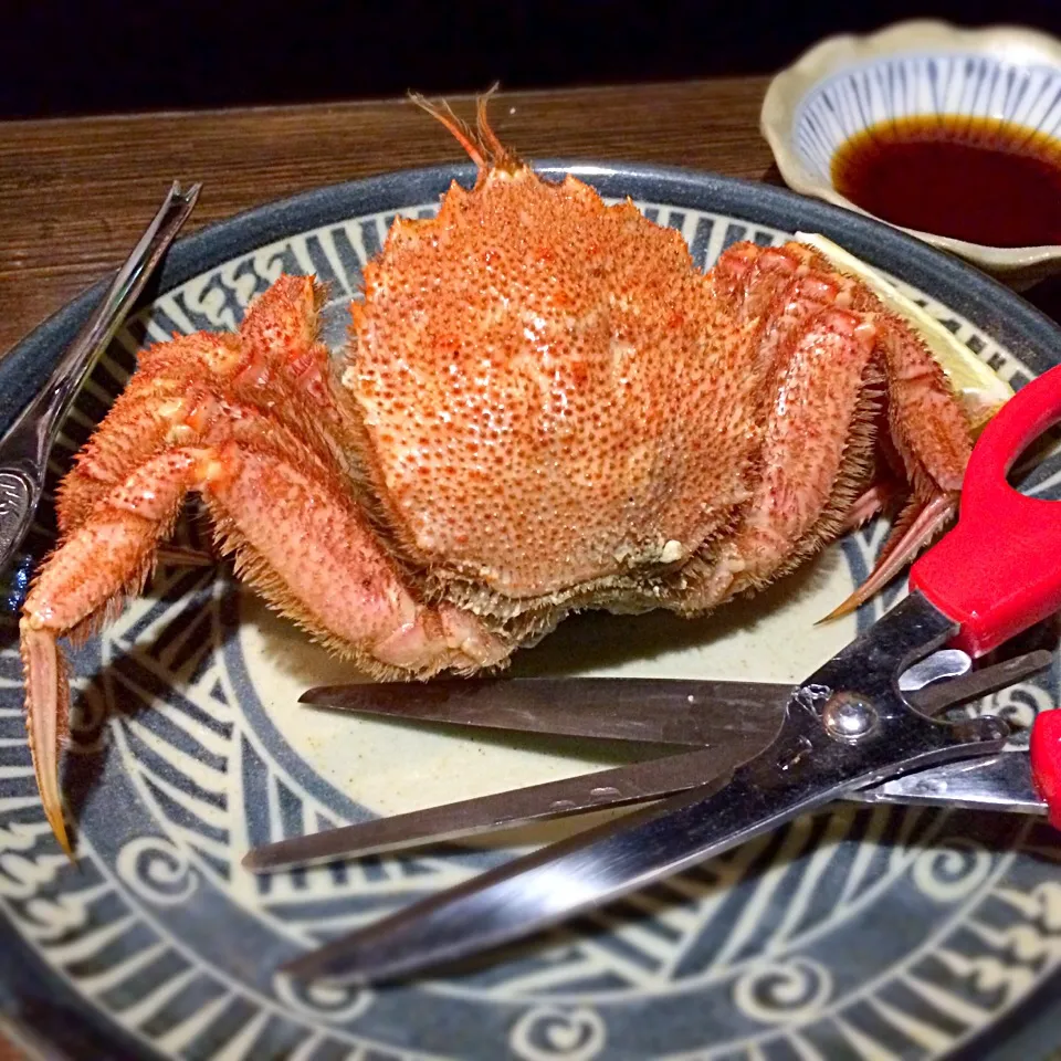 また毛ガニ食べてる(^^) カニ専用ハサミで頂きます|uchikawa hiroshiさん