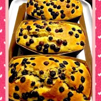 Blueberry Cake|Tomomi Takeiさん