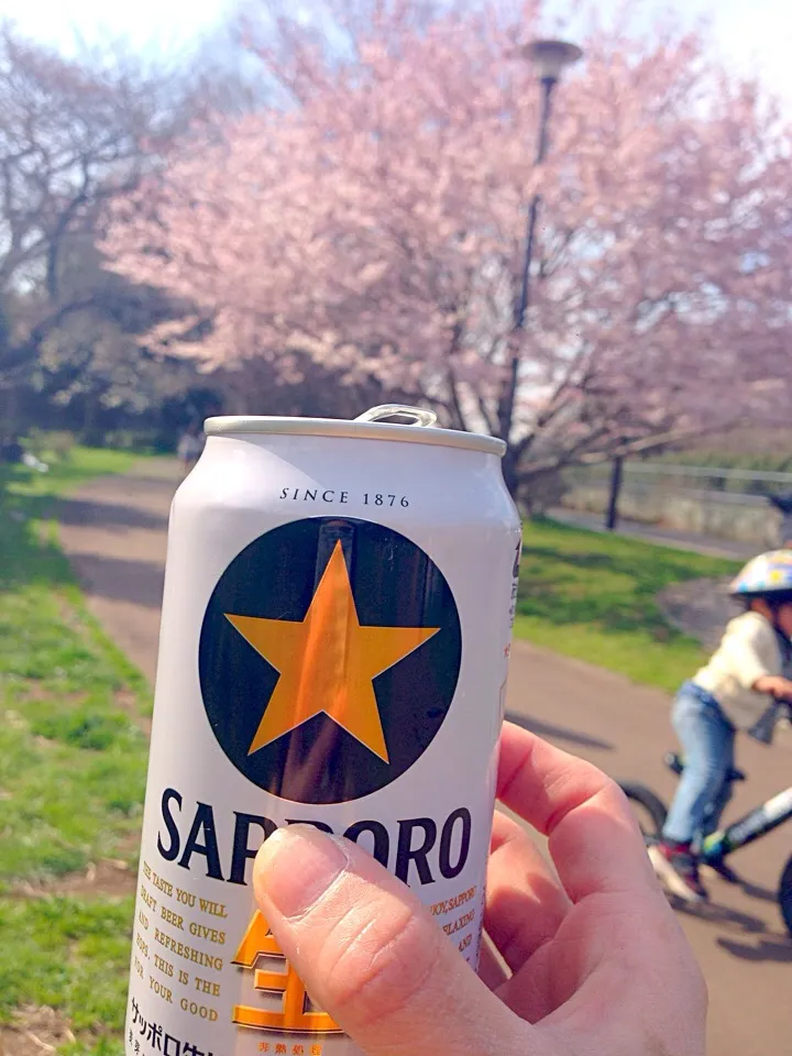 Cherry-blossom viewing🍻お花見〜ヽ(´∀｀)ﾉ🌸|🌈Ami🍻さん