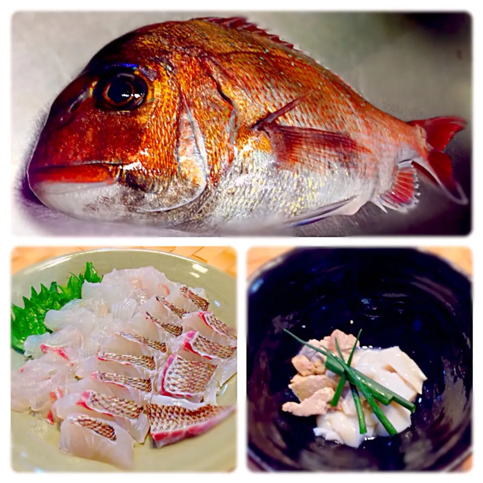 佐島の鯛のお造り＆肝、白子ぽん酢🐟|おかっぴーさん