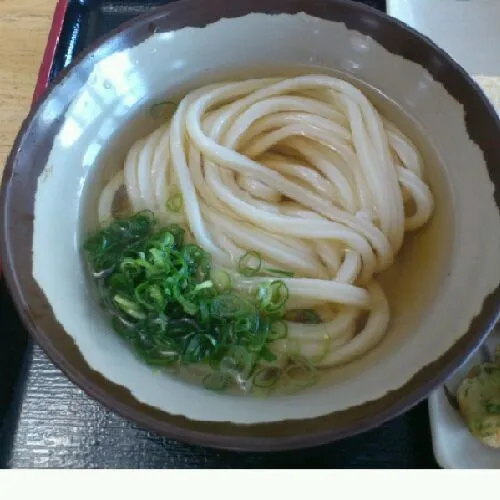 久々にきた高松の池上製麺所。讃岐うどんの本場でもこのうどん屋は好きだなぁ。打ち立てのうどんはモチモチだし、だしつゆの旨さは絶品。|akiponさん