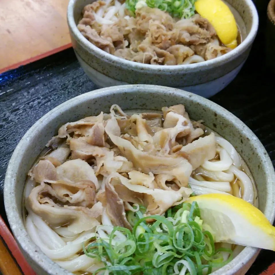 肉うどん♪
牛の温かいのと、豚の冷たいの。|kkstitchさん