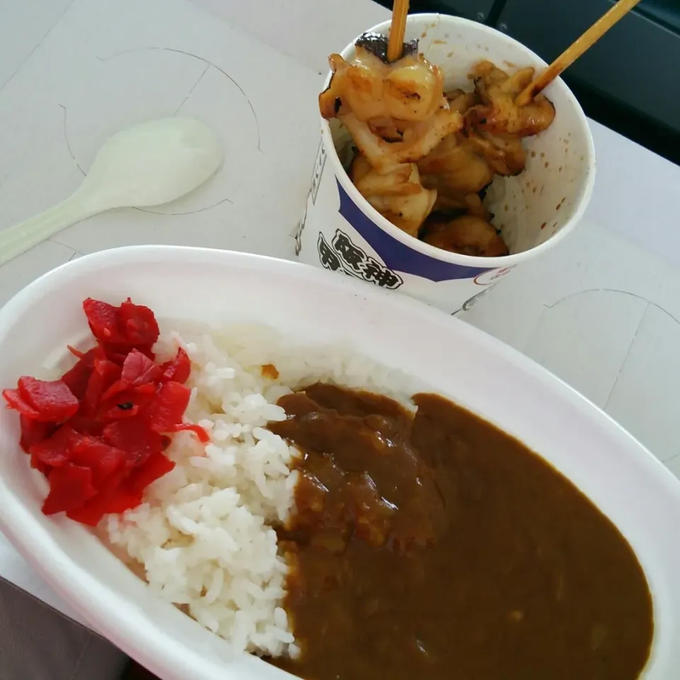 甲子園カレーと、ジャンボ焼き鳥。
今日はゲソもつけた。
甲子園に来たらこれでしょ！|kkstitchさん