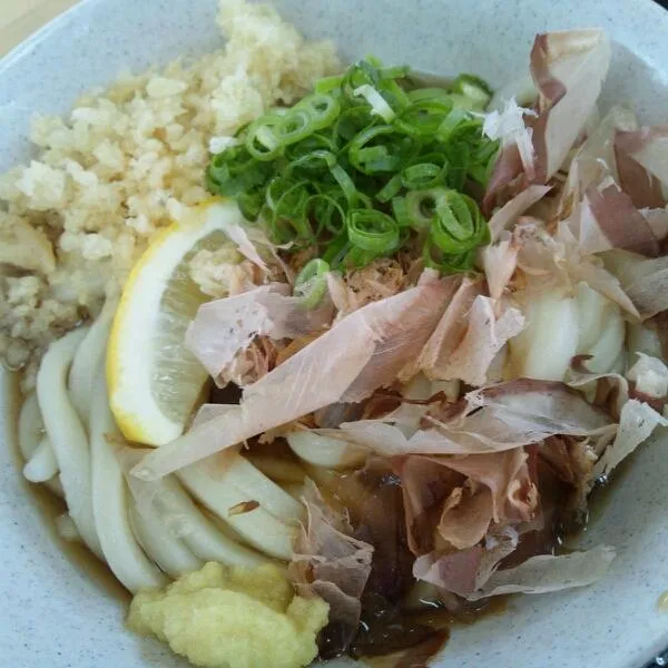 温ぶっかけうどん。|kkstitchさん