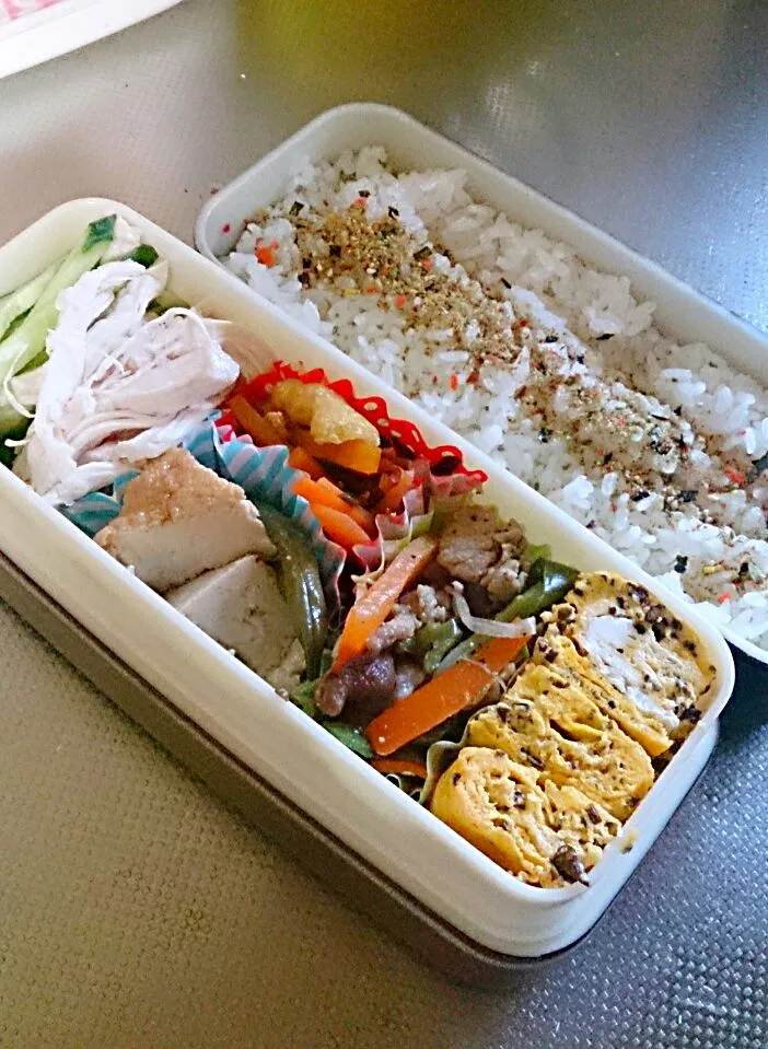 3月31日 パパのお弁当|かなこさん