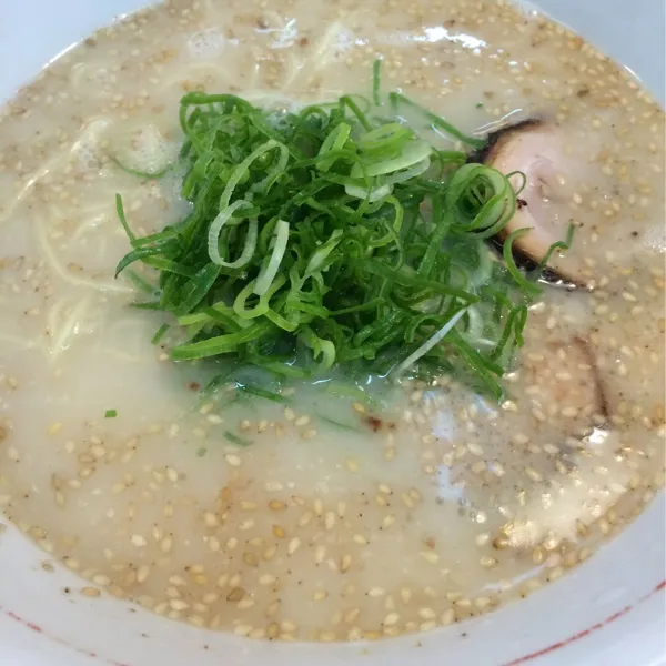 とんこつBセット(とんこつラーメン＋タマ・マヨ丼)＋餃子(ニンニクなし)
餃子半額中|Shuichi Kikutaさん