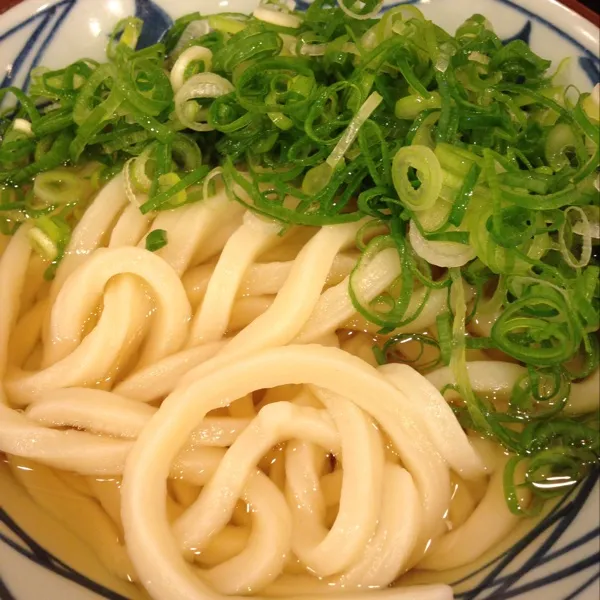 Snapdishの料理写真:かけうどん（並）＆野菜かき揚げ＆かしわ天＆いなり☆６３０円なり〜|Shuichi Kikutaさん