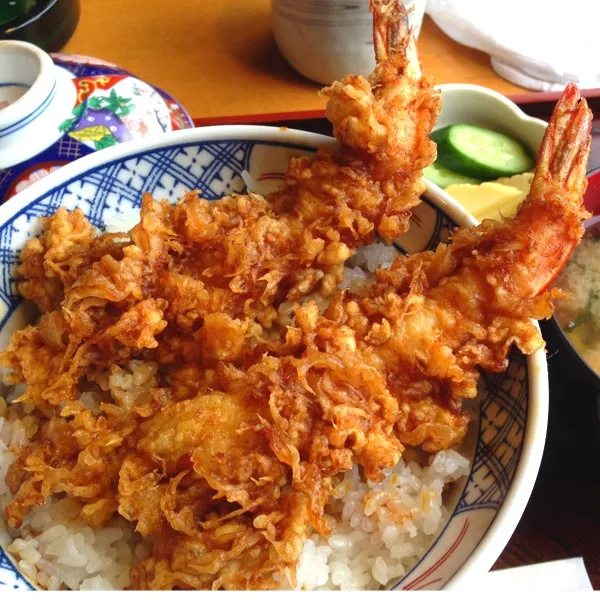 海老天丼💕
大きな海老2匹のってましたぁ〜♡
美味しかったぞーと叫びたい٩(*❛⊰❛)۶･ﾟ:✩ *:ﾟ|okame27さん