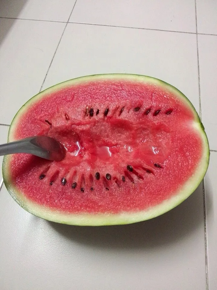 Oshiiii.  Water Melon|jeniさん