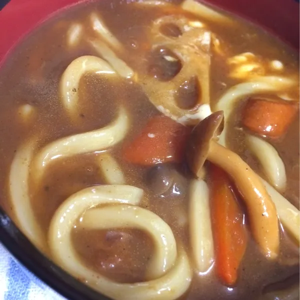 カレーうどん

カレーにチーズは、必須♡|youandme110さん