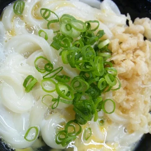 かまたまうどん。|kkstitchさん