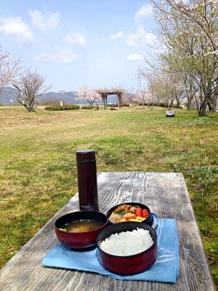 Snapdishの料理写真:今日のお弁当 4月1日☀🌸|あくびさん