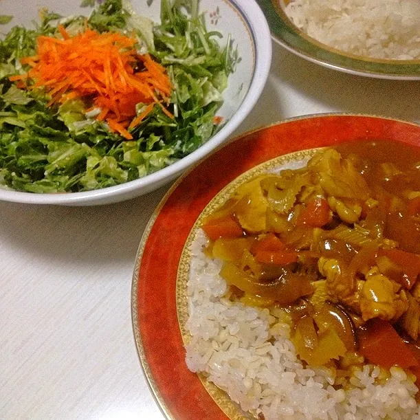 チキンカレー、グリーンリーフとレタスと水菜のサラダ。|佐々野慈音さん