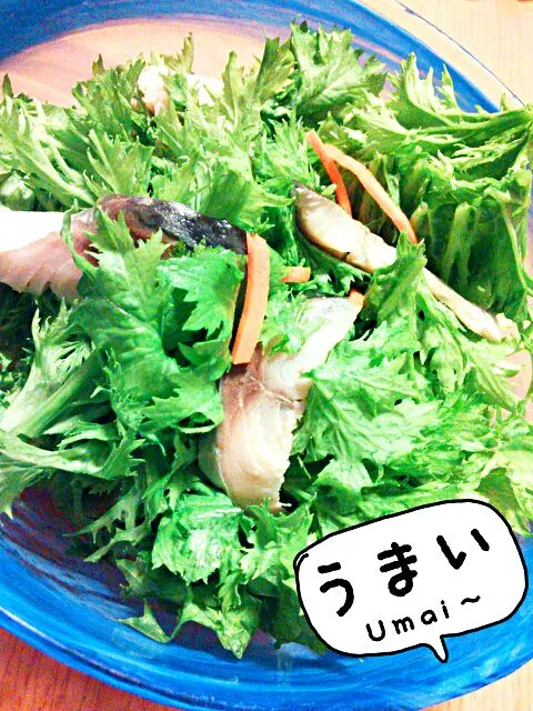 Snapdishの料理写真:わさび菜サラダ|ひとみんΨ(*´∀｀)Ψさん