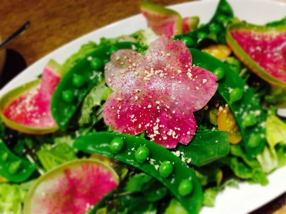 ご褒美サラダ|megさん