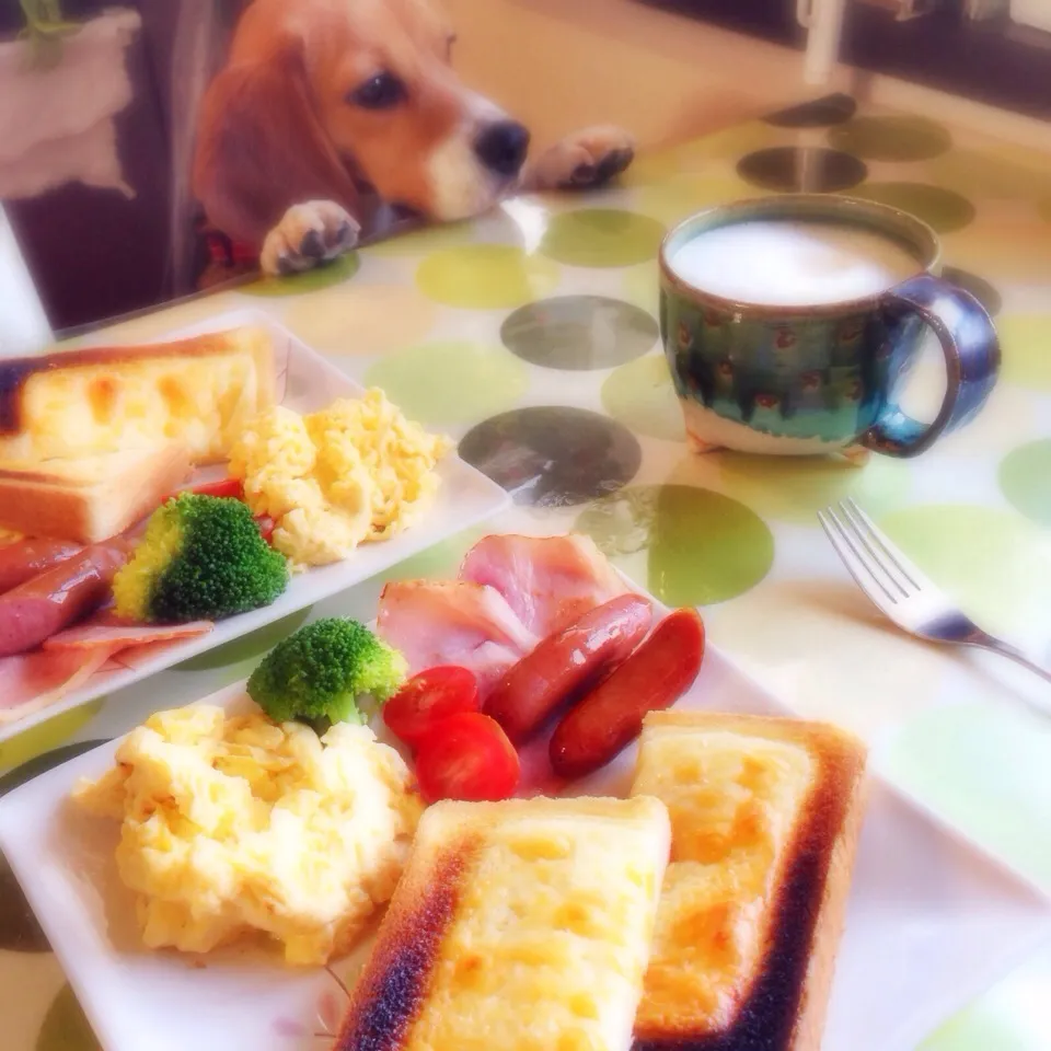 BagelじゃなくてBeagleやし食べちゃダメｗｗｗ。但馬牛のソーセージはうまかった。|うさ爺さん