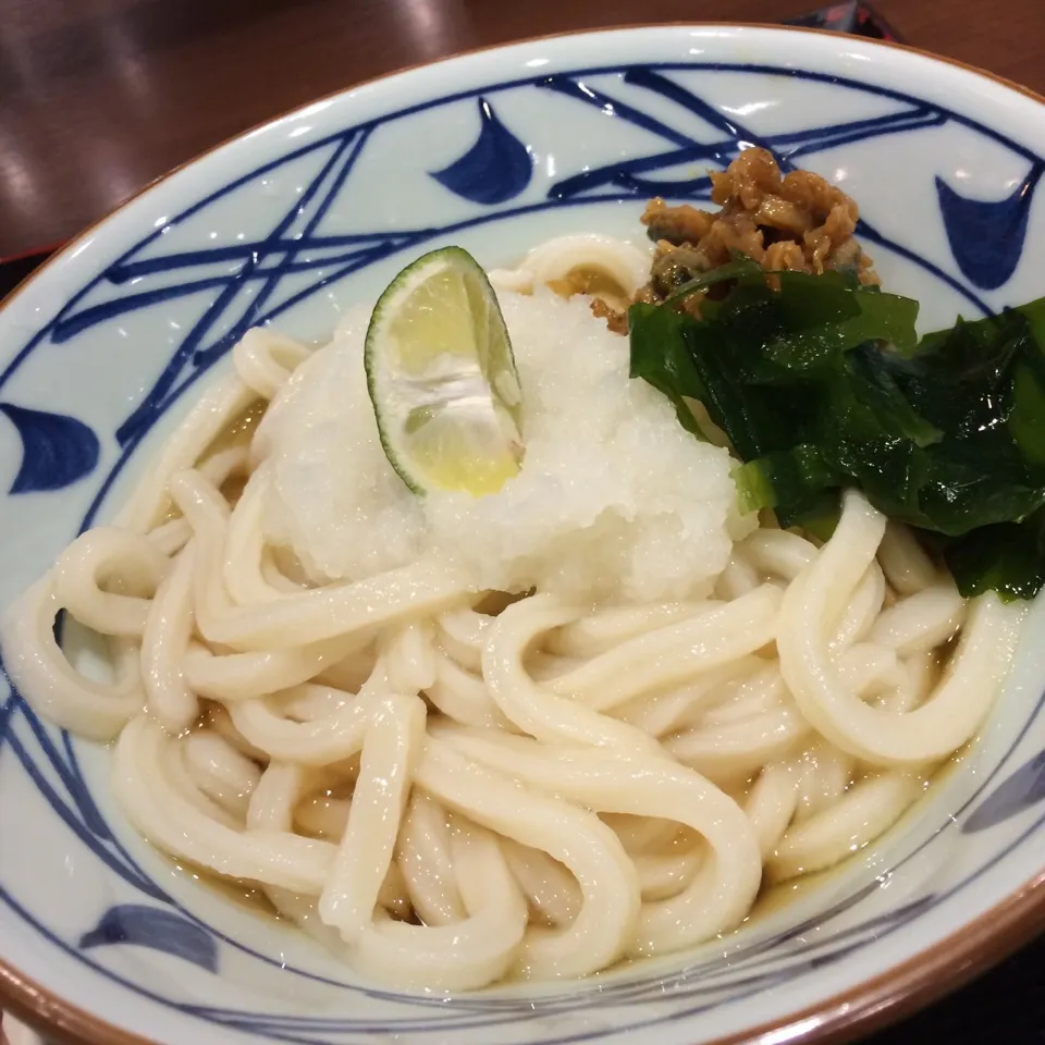 あさりおろし塩ぶっかけうどん|Koichi Shibataさん