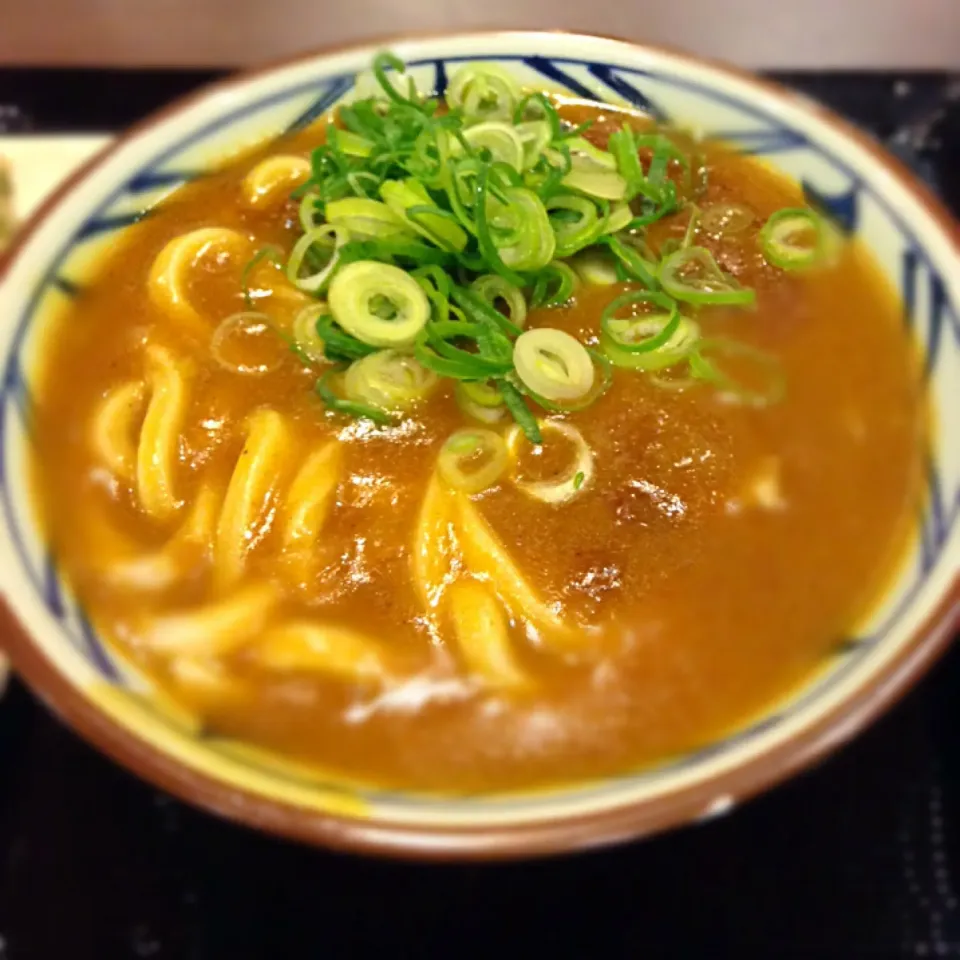 カレー釜揚げうどん|Atsushi Mochidaさん