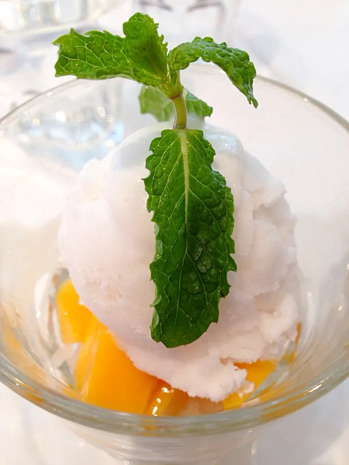 Coconut ice cream with mango sticky rice|sgさん