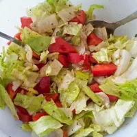 Lecker Salat mit Paprika|alexaさん