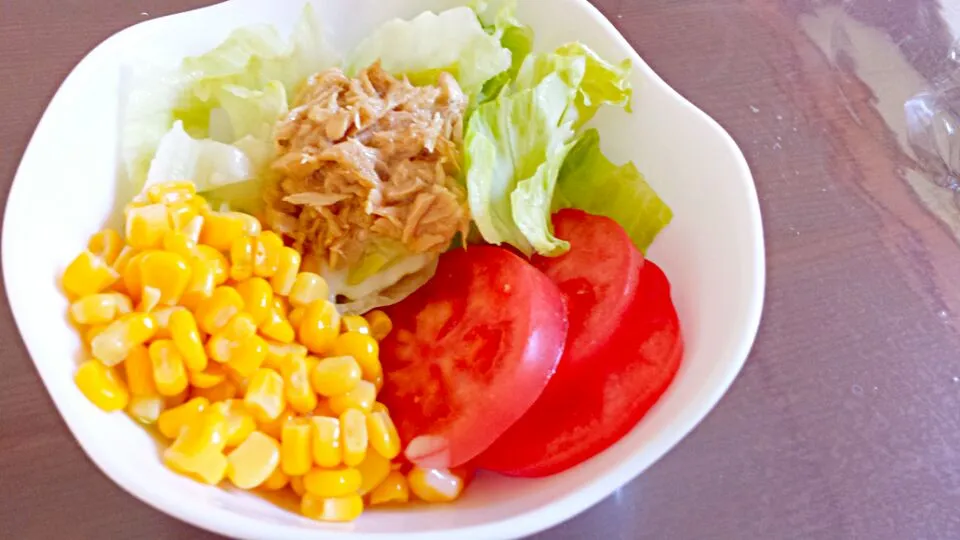 fresh salad with tuna on topped|joさん