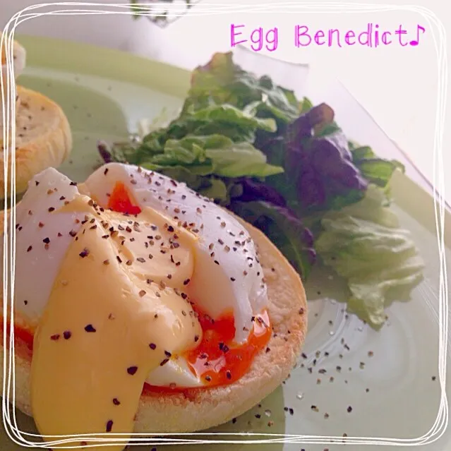 Eggs Benedict|Yukaさん