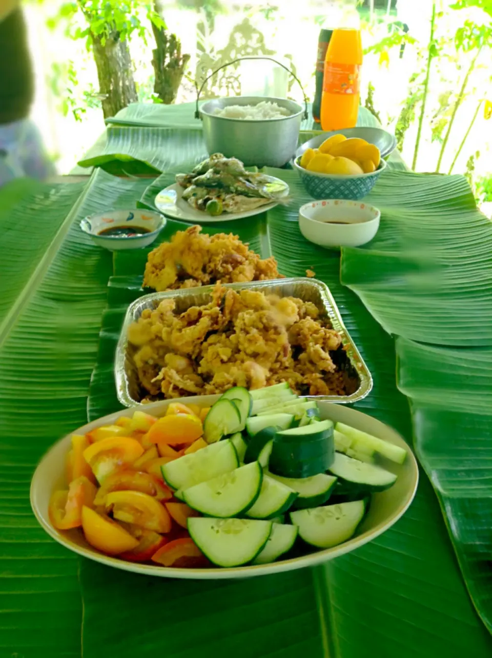 BoOdLe FiGhT!!|GeMzKiTchさん