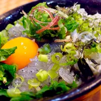 春のしらす丼🐟